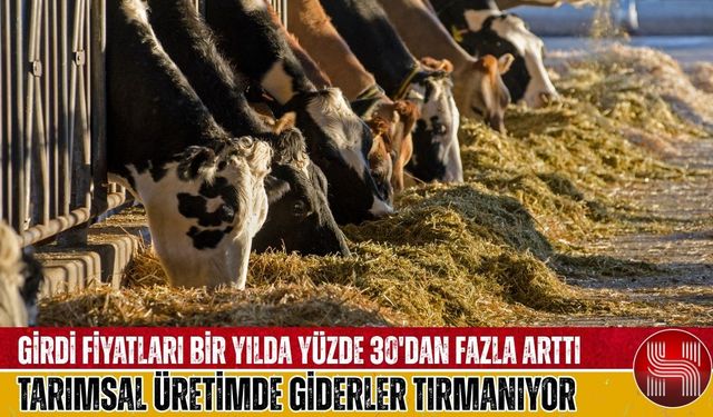TÜİK verileri ortaya koydu: Bu kalemdeki artış herkesi şaşırttı!