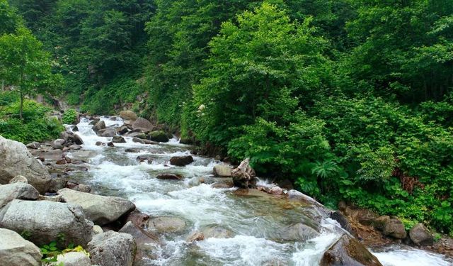 Osmaniye’de Piknik Yapılacak En Güzel Yerler