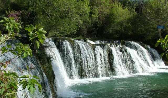 Osmaniye'de Görenleri Hayrete Düşüren Yeşil ve Mavinin Birleştiği Altın