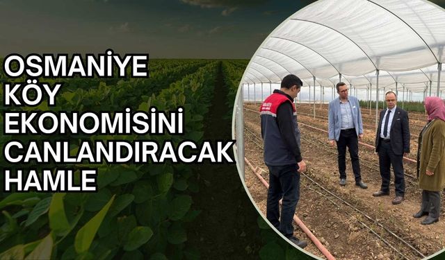 Osmaniye köy ekonomisini canlandıracak hamle