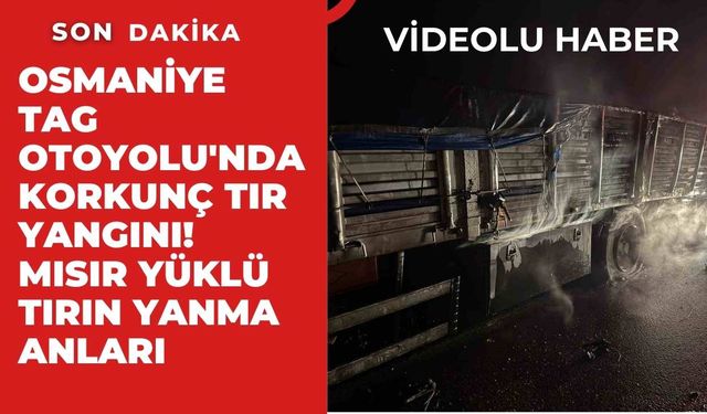 Osmaniye TAG Otoyolu'nda Korkunç Tır Yangını! Mısır Yüklü Tırın Yanma Anları