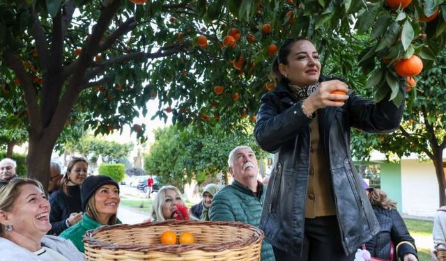 Antalya'nın Sokaklarındaki O Meyve Meğer Servet Değerindeymiş: Duyanlar İnanamıyor!