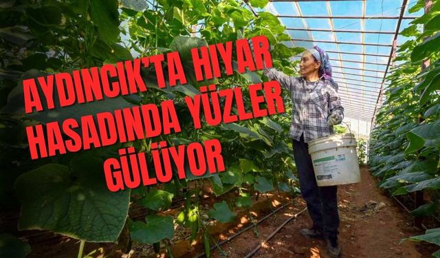Mersin’de Hıyar Fidesi Desteği Hasada Dönüştü: Aydıncık’ta Verim Arttı