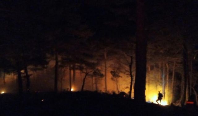 Bozyazı’da orman yangını kontrol altına alındı