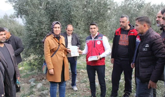 Düziçi’nde Zeytin Üreticilerine Uygulamalı Budama Eğitimi