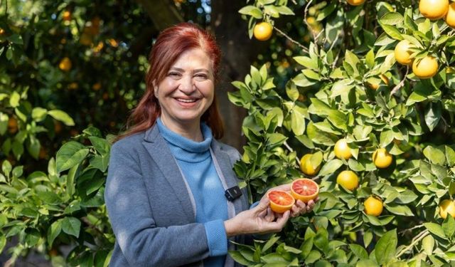Mersin Kan Portakalı Coğrafi İşaret Aldı: Avrupa Tescili İçin Çalışmalar Başladı