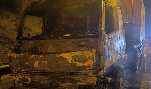 Mersin’de Güneş Paneli Yüklü Tır Alev Alev Yandı