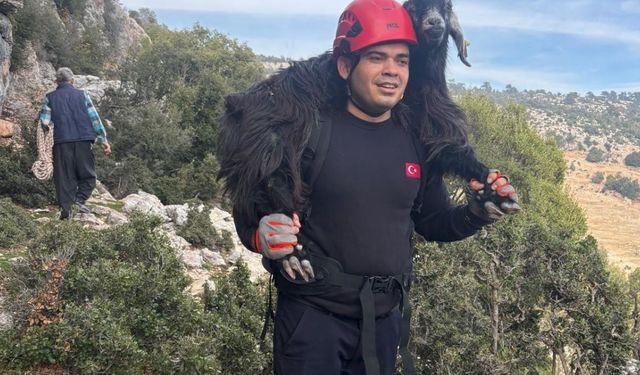 Mersin’de kayalıklarda mahsur kalan keçiler itfaiye tarafından kurtarıldı
