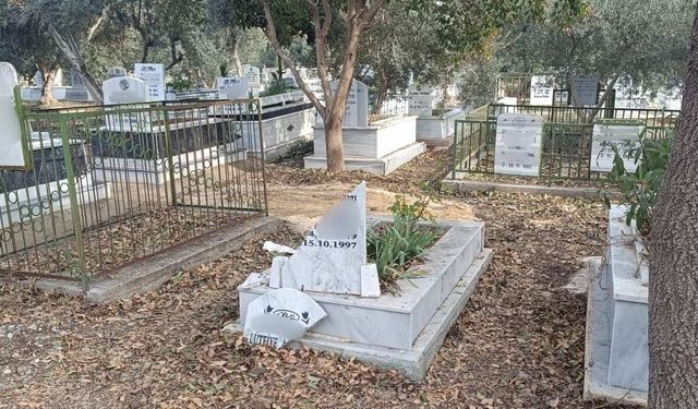 Ne Girmek Mümkün Ne Dua Etmek! Osmaniye'deki Bu Mezarlık Bakımsızlıktan Dökülüyor!