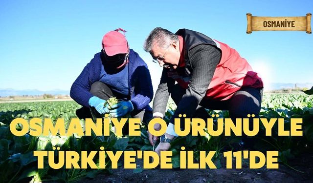 Osmaniye o ürünüyle Türkiye'de ilk 11'de