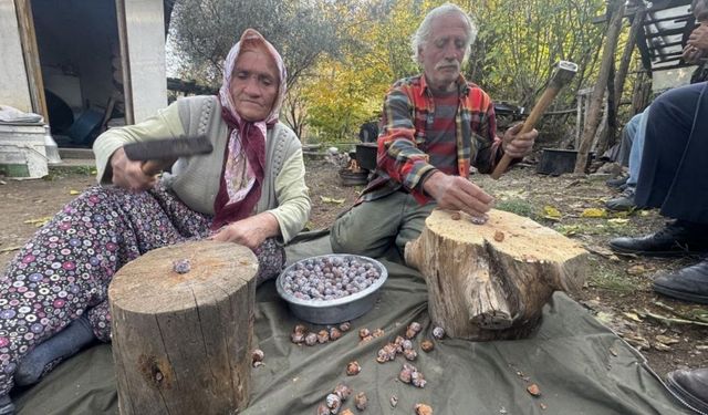Toroslar’da şifa mesaisi: Andız pekmezinin kilosu 500 TL
