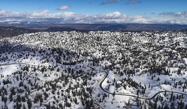 Mersin’in yüksekleri beyaza büründü: Ormanlardan kartpostallık kar manzaraları