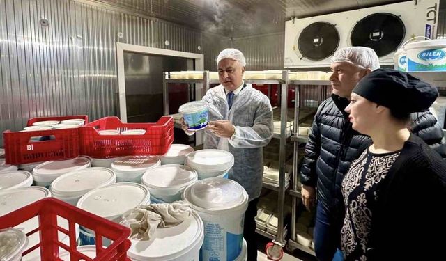 Antakya’da süt ürünleri üreten firma denetlendi
