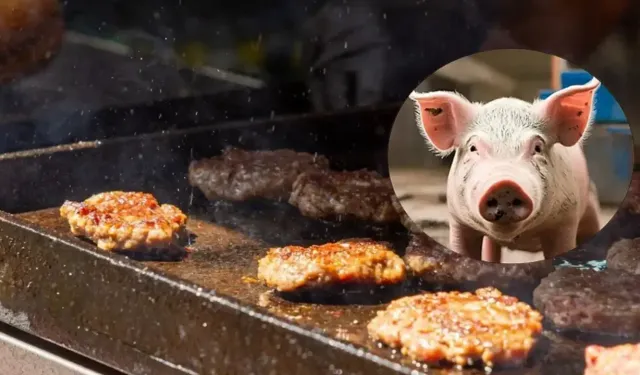 Bir şehir ayağa kalktı: Yüzlerce kişiye domuz eti yedirdim dedi!