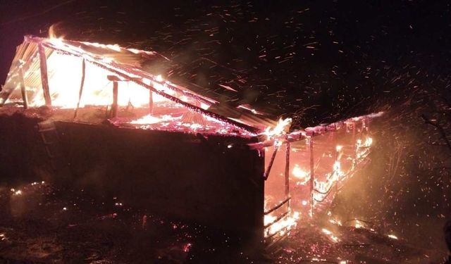 Feke’de yangın paniği: Ev ve ahır tamamen yandı