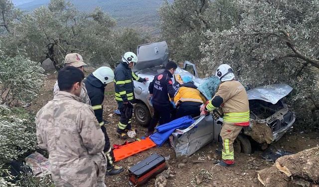 Hatay’da otomobil zeytinliğe uçtu