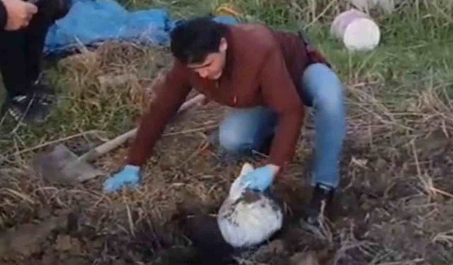 Hatay’daki milyonluk kuyumcu soygununda altınlar toprağa gömülü bulundu