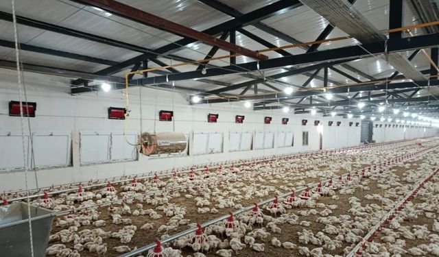 Osmaniye dev tarım desteği! Yüzde 50 hibe verilecek