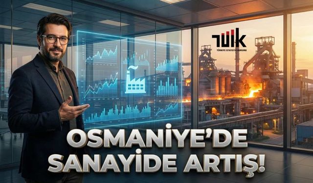 Osmaniye’nin Lokomotifi İmalat Sektörü, Türkiye Ortalamasının Üzerinde