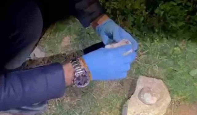 Taş Altına Saklanan Yasaklı Madde, Polisin Dikkatiyle Ortaya Çıktı