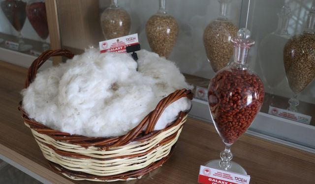 Türk tarımında 'Galaxy' devrimi! Tek bir tohumla ekonomiye 700 milyon liralık katkı!