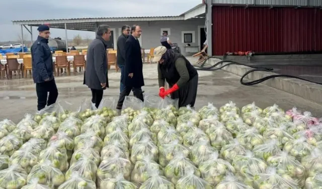 Üreticiye Devlet Desteği Kadirli’de Tarımsal İnceleme