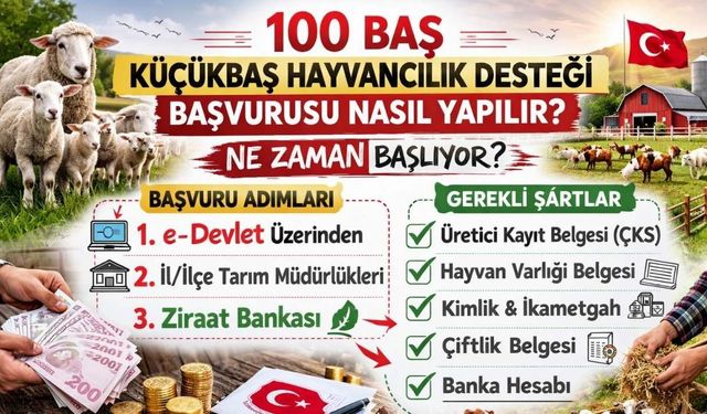 100 Baş Küçükbaş Hayvancılık Desteği Başvurusu Nasıl Yapılır? Ne Zaman Başlıyor? Tüm Şartlar...