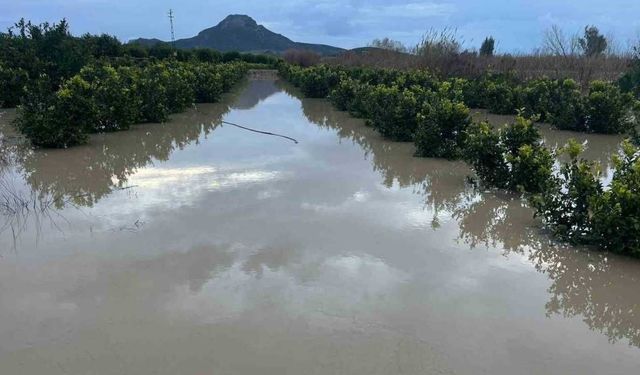 Adana’da şiddetli yağış tarlaları sular altında bıraktı
