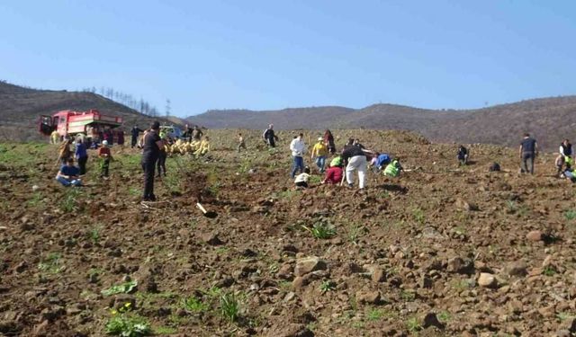 Hatay’da yangın sonrası 5 bin fidan toprakla buluşturuldu