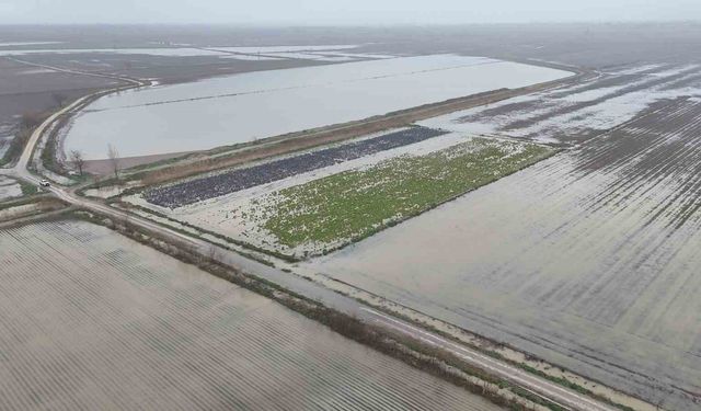 Osmaniye’de Sağanak Felaketi: Binlerce Dönüm Tarım Arazisi Sular Altında
