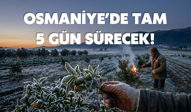 Osmaniye'de Üreticiye Kötü Haber: Gece Yarısı Başlıyor! Tam 5 Gün Sürecek