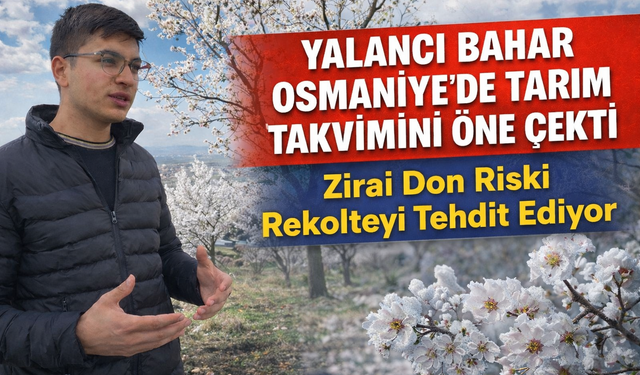 Osmaniye’de Yalancı Bahar: Badem Ağaçları Şubat’ta Çiçek Açtı