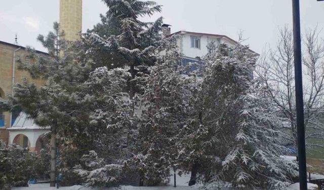 Adana’da Kar Sürprizi