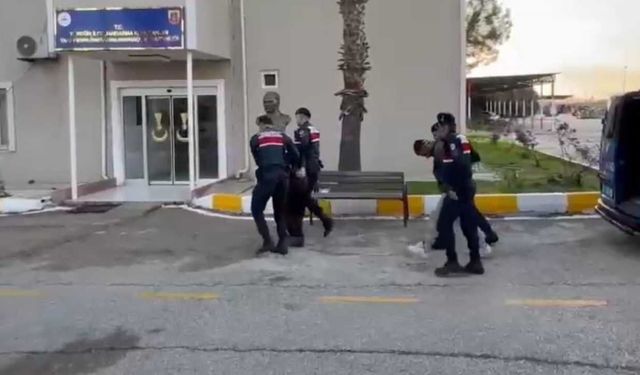 Kur’an Kursuna Girip Kur’an-ı Kerim’lere Zarar Verdiler: 2 Tutuklama