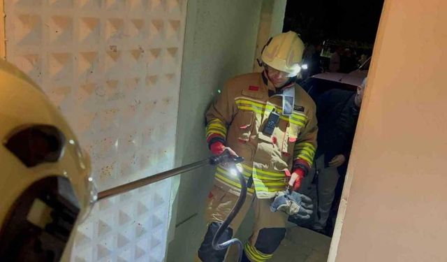 Hatay’da camide görülen yılan itfaiye tarafından yakalandı