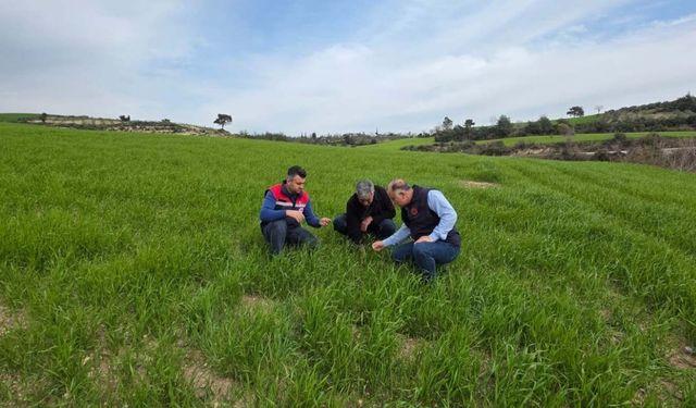 Osmaniye İl Tarım’dan Bitki Sağlığı İçin Yakın Takip