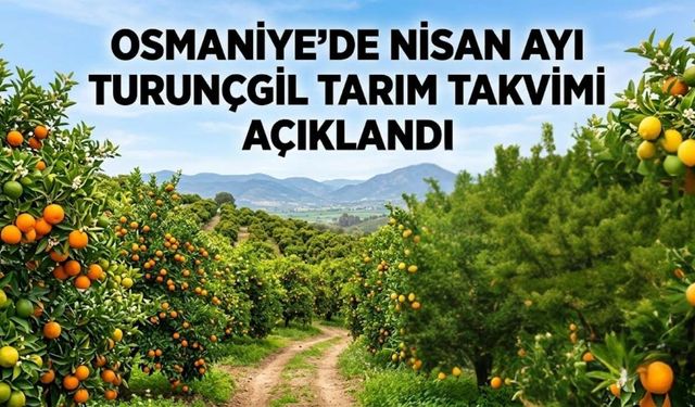 Osmaniye'de Nisan Ayı Turunçgil Tarım Takvimi Açıklandı