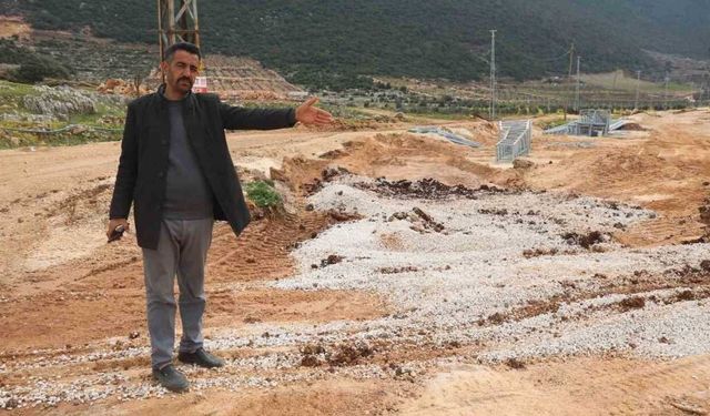 Zehirli Su İddiası 43 Küçükbaş Hayvan Telef Oldu