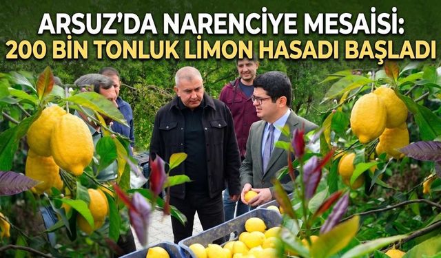 Arsuz’da Narenciye Mesaisi: 200 Bin Tonluk Limon Hasadı Başladı