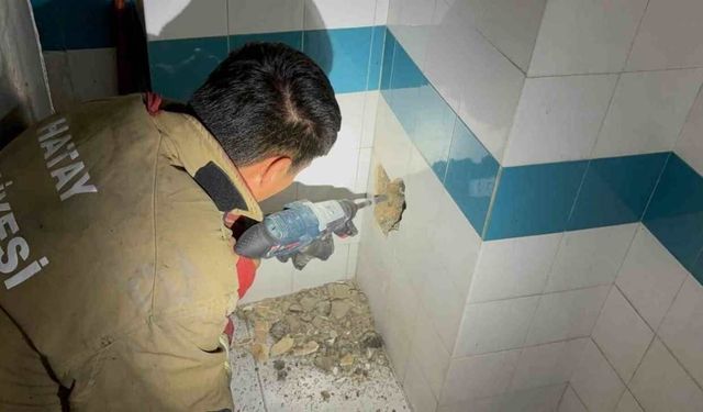 Hatay İskenderun'da Nefes Kesen Kurtarma: Bacadan Düşen Yavru Kedi Duvar Kırılarak Kurtarıldı