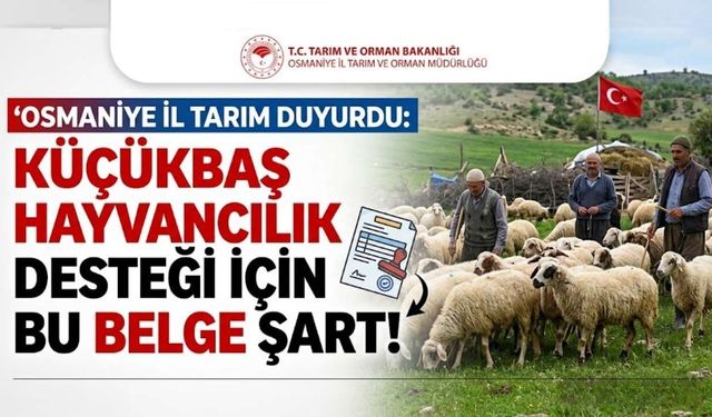 Osmaniye İl Tarım Duyurdu: Küçükbaş Hayvancılık Desteği İçin Bu Belge Şart!