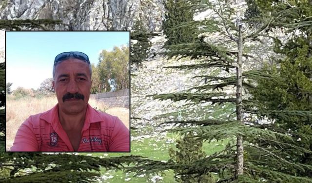 Osmaniye'de Yaylada Acı Olay: Kayalıklardan Düşen Kişi Hayatını Kaybetti
