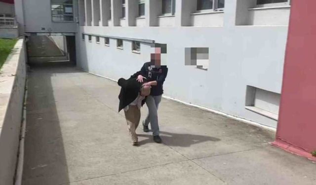 Panelvanda 825 kilo bonzai hammaddesi yakalandı