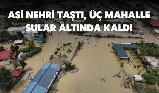 Asi Nehri Taştı, Üç Mahalle Sular Altında Kaldı