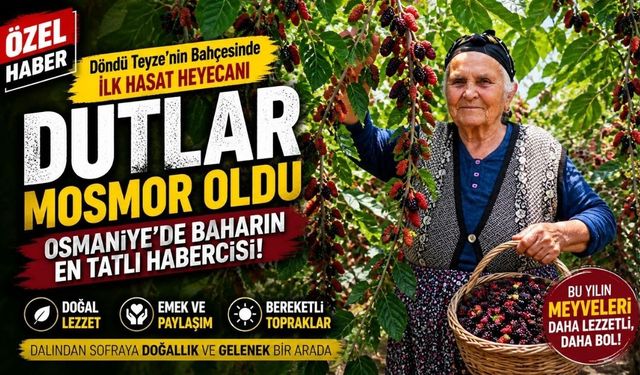 Bahçeden Sofraya Osmaniye'nin Meşhur Dutları Döndü Teyzenin Bahçesinde Göründü