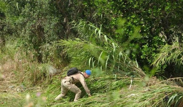 Çöken Köprüden Nehre Düşerek Kaybolan İki Genci Arama Çalışmaları Sürüyor