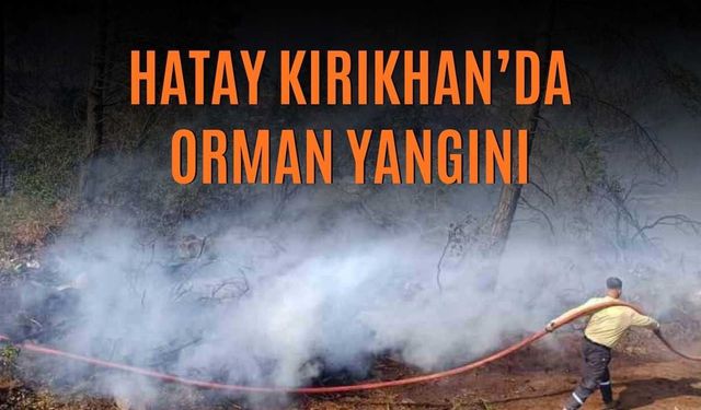 Hatay Kırıkhan’da Orman Yangını