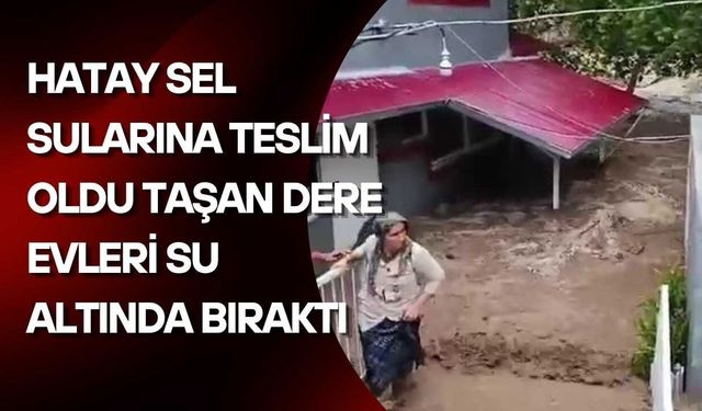 Hatay Sel Sularına Teslim Oldu Taşan Dere Evleri Su Altında Bıraktı