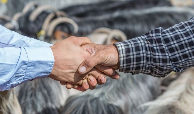 Kurban Bayram Tatili Ne Zaman Başlıyor ve Kaç Gün?