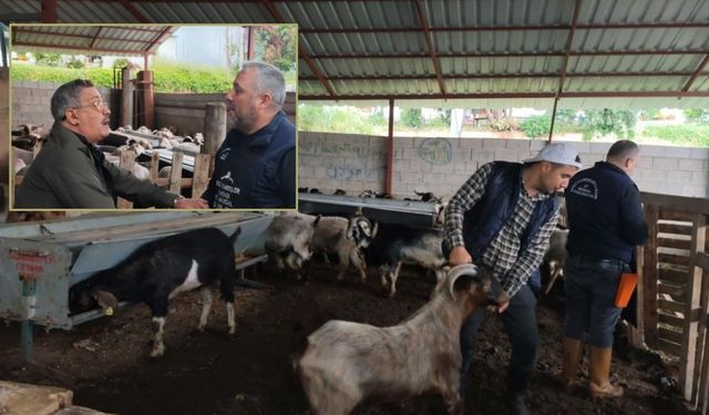 Kurban Pazarında Pazarlıklar Şimdiden Kızıştı!